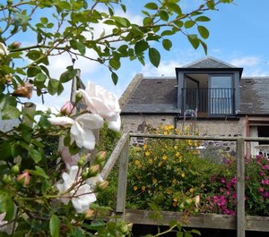 Plumtree Cottage 