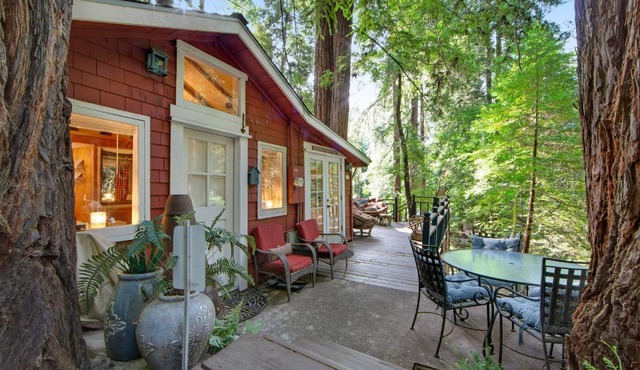 Mt. Hermon Treehouse