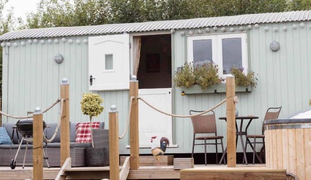 Stud Farm