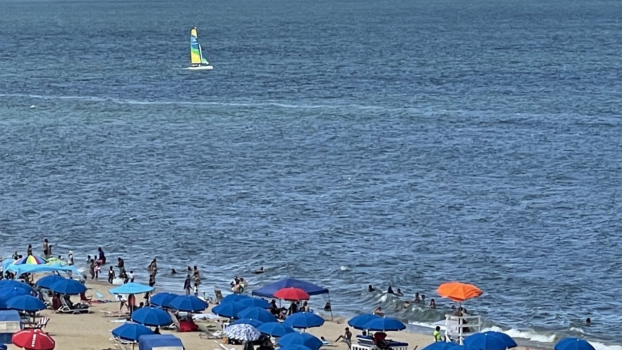 Photo of Others in Northeast Virginia Beach