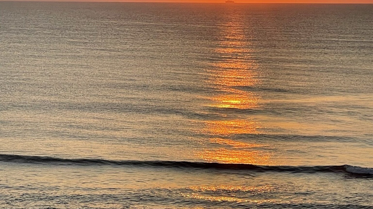 Photo of Others in Northeast Virginia Beach