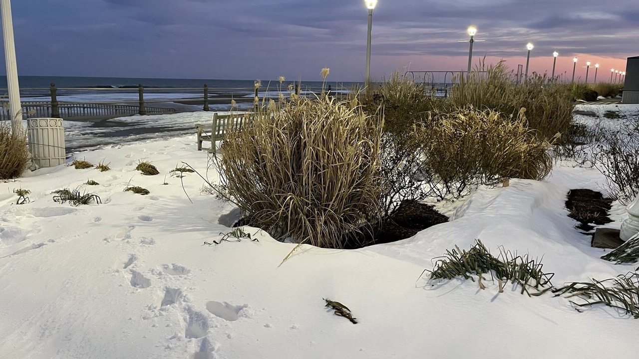 Photo of Outdoor in Northeast Virginia Beach