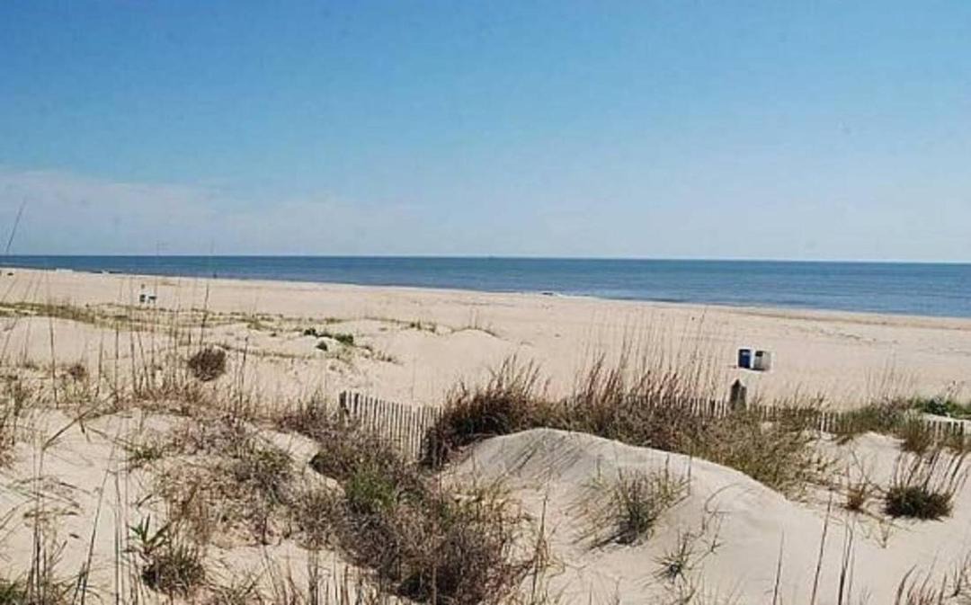Photo of Outdoor in Northeast Virginia Beach
